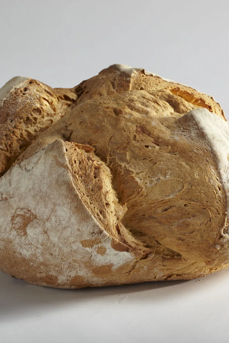Reference photograph of rustic Italian Altamura loaves with flour-dusted golden crusts.